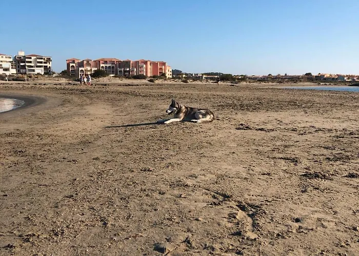 Les Lavandines, Le Cap D'agde Villa