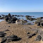 Les Lavandines, Le Cap D'agde * 阿格德